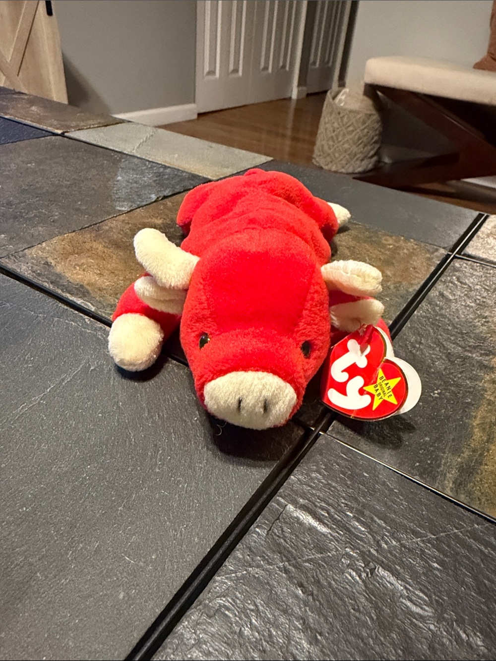 Beanie Baby Snort